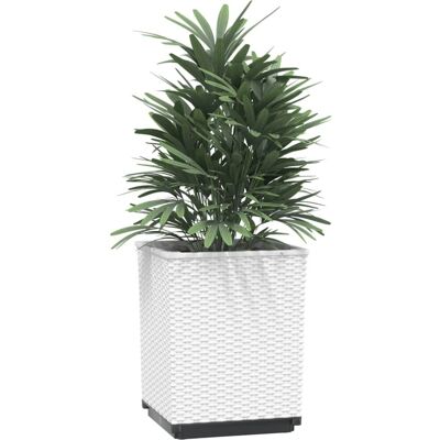 vidaXL Pflanzgefäße 2 Stück Weiß 30x30x37 cm Polypropylen - Pflanzer vidaXL Pflanzgefäße 2 Stück Weiß 30x30x37 cm Polypropylen - Pflanzer