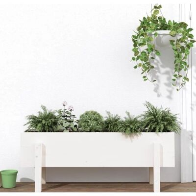 vidaXL Hochbeet Weiß 101x30x38cm Massive Kiefernholz - Hochbeet vidaXL Hochbeet Weiß 101x30x38cm Massive Kiefernholz - Hochbeet