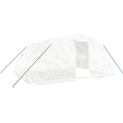 Serre vidaXL 5x4x2.3m Cadre en acier blanc Serre vidaXL 5x4x2.3m Cadre en acier blanc