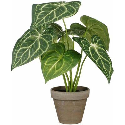 Décoration en mica Caladium - Plante décorative artificielle - Publicité Décoration en mica Caladium - Plante décorative artificielle - Publicité