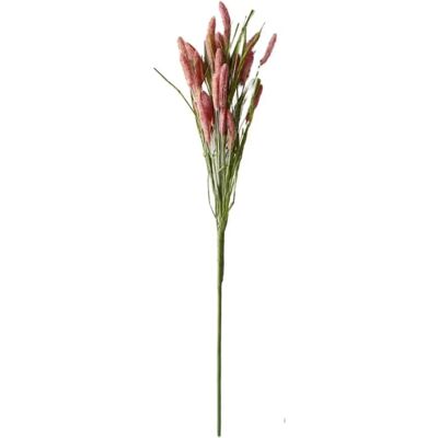 Decofinder - Setaria Pink - 70 cm - Dekorative Pflanze Decofinder - Setaria Pink - 70 cm - Dekorative Pflanze