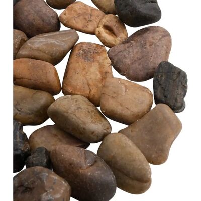 VidaXL Mehrfarbige Polierte Kiesel - Dekorative Steine für Aquarium & Garten - 25kg VidaXL Mehrfarbige Polierte Kiesel - Dekorative Steine für Aquarium & Garten - 25kg