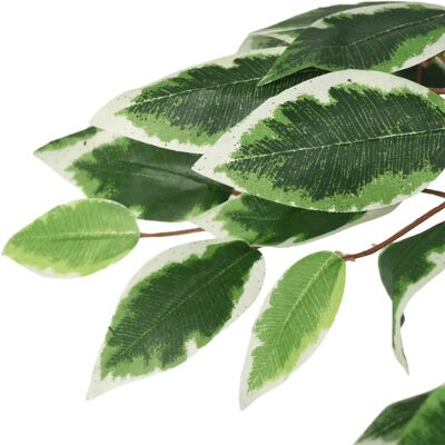 Arbre Ficus Artificiel vidaXL - Vert - 120 cm - Plante fausse avec 756 feuilles - Publicité Arbre Ficus Artificiel vidaXL - Vert - 120 cm - Plante fausse avec 756 feuilles - Publicité