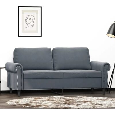vidaXL Samt 2-Plätzes Sofa - Sofa vidaXL Samt 2-Plätzes Sofa - Sofa