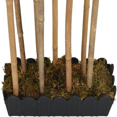 vidaXL Künstlicher Bambusbaum 1095 Blätter - Bambus künstlich 150cm vidaXL Künstlicher Bambusbaum 1095 Blätter - Bambus künstlich 150cm