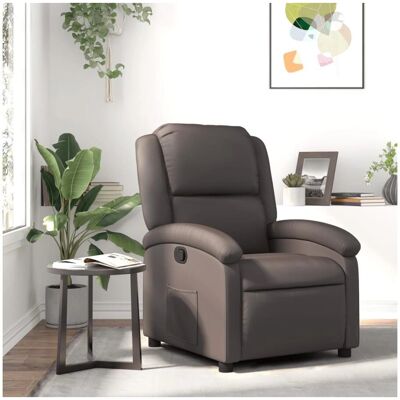 vidaXL Manuelles Neiges - Fauteuil Relax - Cuir Véritable - Marron Foncé - Relaxsessel vidaXL Manuelles Neiges - Fauteuil Relax - Cuir Véritable - Marron Foncé - Relaxsessel
