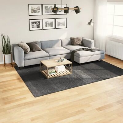 vidaXL Rug IZA Short Pile Anthracite - Rug vidaXL Rug IZA Short Pile Anthracite - Rug