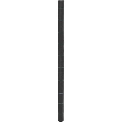 vidaXL Tuinafdekking Onkruid 2x200 m Zwart vidaXL Tuinafdekking Onkruid 2x200 m Zwart
