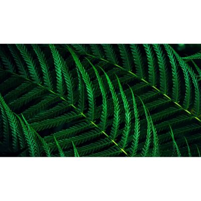 Philips 24B2G5301 - Full HD Monitor - IPS, 24" - Energiansäästö Philips 24B2G5301 - Full HD Monitor - IPS, 24" - Energiansäästö