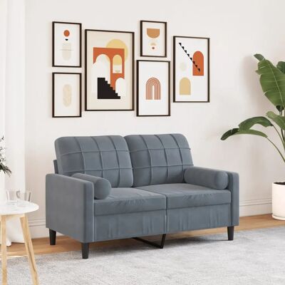 VidaXL 2-Sitzer Samtsofa - Modernes Grau - Couch VidaXL 2-Sitzer Samtsofa - Modernes Grau - Couch