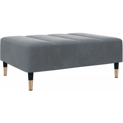 vidaXL 4007394 Pouf en velours gris foncé - Repose-pied - Publicité vidaXL 4007394 Pouf en velours gris foncé - Repose-pied - Publicité