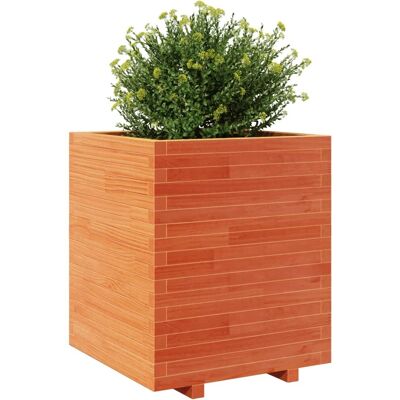 vidaXL Tuinbak Wijnbruin 60x60x72,5 cm Massief Hout den - Tuinbak vidaXL Tuinbak Wijnbruin 60x60x72,5 cm Massief Hout den - Tuinbak