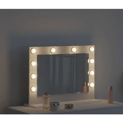 VIDAXL - Specchio da Toeletta LED - 60x45x18 cm - Mirror VIDAXL - Specchio da Toeletta LED - 60x45x18 cm - Mirror