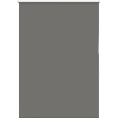 vidaXL Grauer Rollobschutz 105x175cm Polyester Privatsphäre & Lichtsteuerung vidaXL Grauer Rollobschutz 105x175cm Polyester Privatsphäre & Lichtsteuerung
