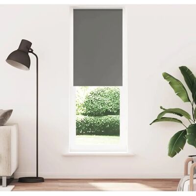 vidaXL Grau Polyester-Rollo - Sichtschutz & Lichtregulierung vidaXL Grau Polyester-Rollo - Sichtschutz & Lichtregulierung