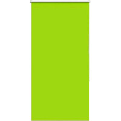 vidaXL Grüner Rollos - Privatsphäre & Lichtregulierung vidaXL Grüner Rollos - Privatsphäre & Lichtregulierung