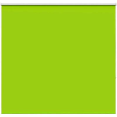 vidaXL Green Blackout Roller Blind 160x175cm Polyester Privacy & Light Control vidaXL Green Blackout Roller Blind 160x175cm Polyester Privacy & Light Control