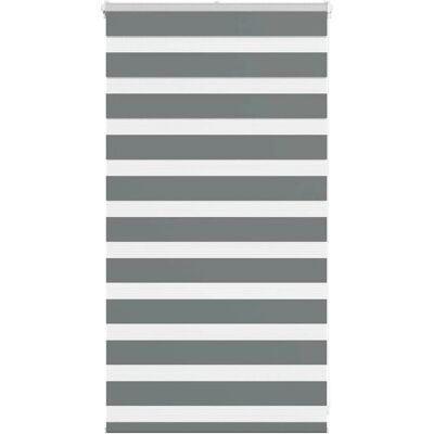 Stores Zèbres VIDA XL - 70x100 cm - Polyester Gris Foncé - Publicité Stores Zèbres VIDA XL - 70x100 cm - Polyester Gris Foncé - Publicité