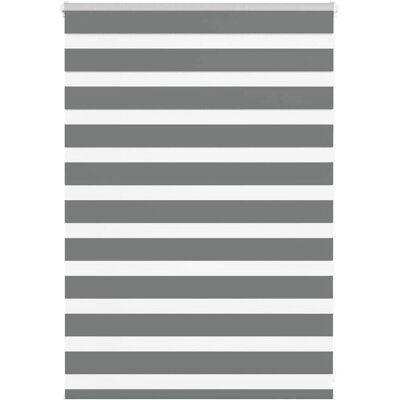vidaXL Zebra Jaloezieën - 110x100 cm, Polyester, Donkergrijs, Modern vidaXL Zebra Jaloezieën - 110x100 cm, Polyester, Donkergrijs, Modern