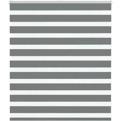 vidaXL Zebra-Rollo - Langlebiges Polyester mit Privatsphäre & Sonnenschutz vidaXL Zebra-Rollo - Langlebiges Polyester mit Privatsphäre & Sonnenschutz