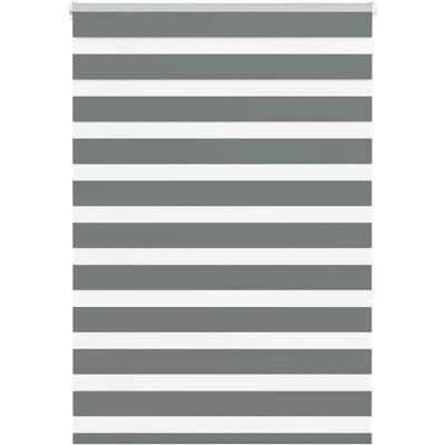 vidaXL Zebra-Jalousien - Polyester, Dunkelgrau, 100x150 cm - Zebra Jalousien vidaXL Zebra-Jalousien - Polyester, Dunkelgrau, 100x150 cm - Zebra Jalousien