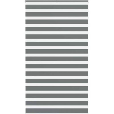 vidaXL Zebra-Rollos - Langlebiges Polyester, Modernes Design vidaXL Zebra-Rollos - Langlebiges Polyester, Modernes Design