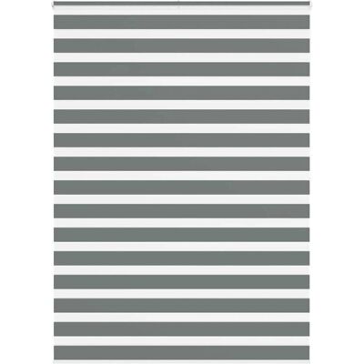 VidaXL Zebra-Rollos - 165x200 cm, Polyester, Dunkelgrau - Rollo VidaXL Zebra-Rollos - 165x200 cm, Polyester, Dunkelgrau - Rollo
