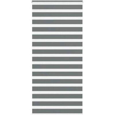vidaXL Zebra Jalousien - Dunkelgrau - 100x230 cm - Langlebig & Verstellbar vidaXL Zebra Jalousien - Dunkelgrau - 100x230 cm - Langlebig & Verstellbar