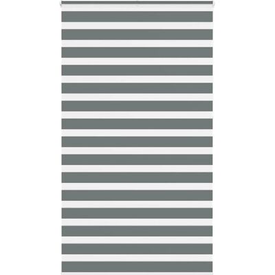 Store Zebra VIDAXL - 125x230 cm - Polyester Gris - Publicité Store Zebra VIDAXL - 125x230 cm - Polyester Gris - Publicité