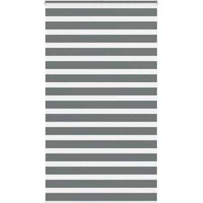 vidaXL Zebra-Jalousien - 135x230 cm - Polyester - Dunkelgrau vidaXL Zebra-Jalousien - 135x230 cm - Polyester - Dunkelgrau