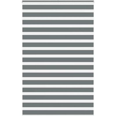 vidaXL Zebra-Jalousien - Langlebiges Polyester, Verstellbar, Modern vidaXL Zebra-Jalousien - Langlebiges Polyester, Verstellbar, Modern