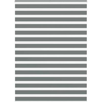 VidaXL Zebra-Rollo - Langlebiges Polyester-Sichtschutz VidaXL Zebra-Rollo - Langlebiges Polyester-Sichtschutz