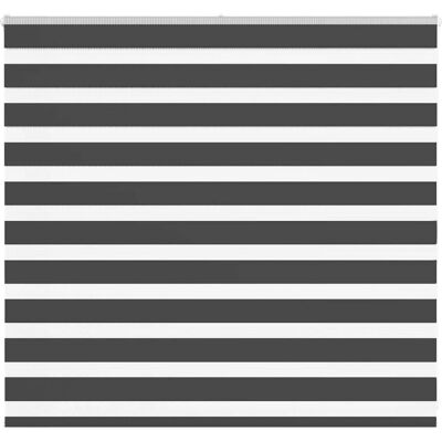 vidaXL Zebra Rollos - 155x100 cm - Polyester - Schwarz - Produkttyp vidaXL Zebra Rollos - 155x100 cm - Polyester - Schwarz - Produkttyp