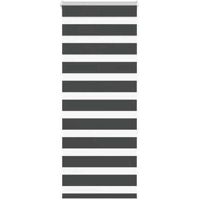 vidaXL Zebra-Rollläden - 60x150 cm - Polyester, Schwarz, Modern vidaXL Zebra-Rollläden - 60x150 cm - Polyester, Schwarz, Modern