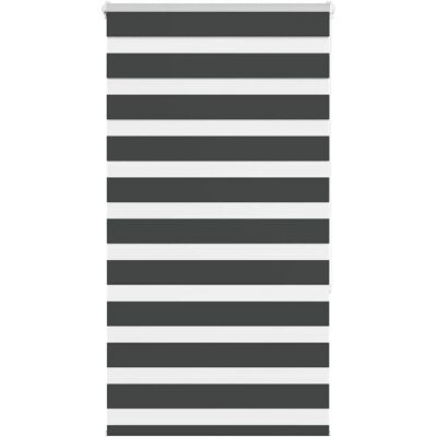vidaXL Zebrarollos - Polyester, Schwarz, 80x150cm - Zebra Rollos vidaXL Zebrarollos - Polyester, Schwarz, 80x150cm - Zebra Rollos