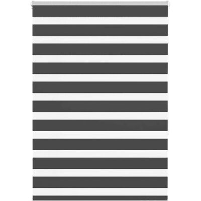 vidaXL Zebra Jalousien - 95x150 cm - Polyester - Schwarz vidaXL Zebra Jalousien - 95x150 cm - Polyester - Schwarz
