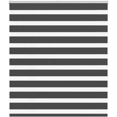 vidaXL Zebra-Rollo - Langlebiges Polyester, Verstellbar, Modernes Design vidaXL Zebra-Rollo - Langlebiges Polyester, Verstellbar, Modernes Design