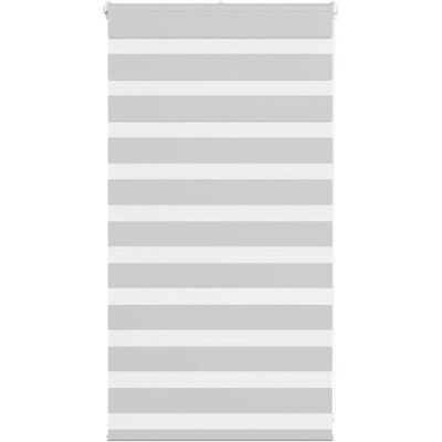 Stores Zèbre VIDAXL - 70x100 cm Polyester Résistant, Gris Clair Stores Zèbre VIDAXL - 70x100 cm Polyester Résistant, Gris Clair