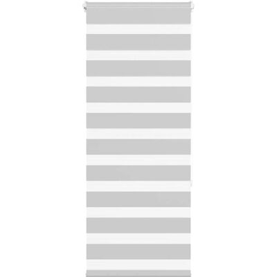 vidaXL Zebra-Rollos - 60x150cm Polyester Grau vidaXL Zebra-Rollos - 60x150cm Polyester Grau