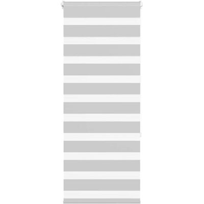 vidaXL Zebra-Rollo - 65x150 cm, Hellgrau, Polyester, Modern vidaXL Zebra-Rollo - 65x150 cm, Hellgrau, Polyester, Modern