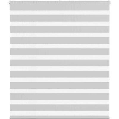vidaXL Zebra-Jalousien - 125x150cm - Hellgrau - Modern & Langlebig vidaXL Zebra-Jalousien - 125x150cm - Hellgrau - Modern & Langlebig
