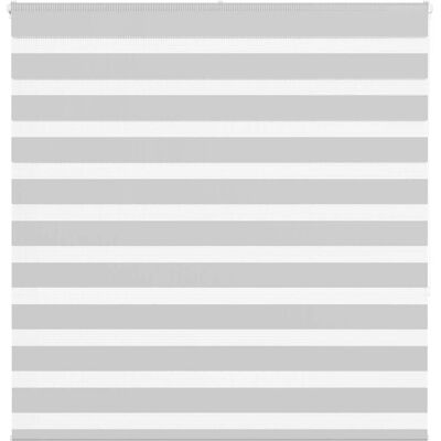 vidaXL Zebra-Rollläden - 140x150cm, Hellgrau - Zebra-Rollos vidaXL Zebra-Rollläden - 140x150cm, Hellgrau - Zebra-Rollos