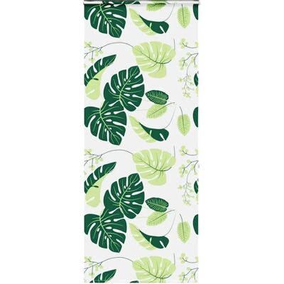 vidaXL Duschrollo mit Kassette, 96 cm breit, 100x240cm, Grün vidaXL Duschrollo mit Kassette, 96 cm breit, 100x240cm, Grün