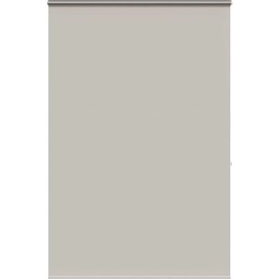 vidaXL Shower Screen with Cassette - 150x240cm, Gray vidaXL Shower Screen with Cassette - 150x240cm, Gray