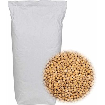 vidaXL Kersenpitten voor Warmtepads 10kg Bruin - Vulmiddel voor warmtepads vidaXL Kersenpitten voor Warmtepads 10kg Bruin - Vulmiddel voor warmtepads