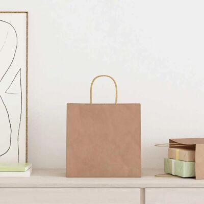 vidaXL Paper Carrier Bags - 50 pcs. - Brown - 26x17x25 cm - Shopping & Gift Bags vidaXL Paper Carrier Bags - 50 pcs. - Brown - 26x17x25 cm - Shopping & Gift Bags