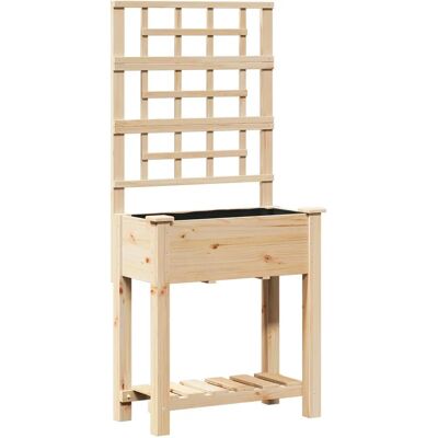vidaXL Tuinplantsoen met spaler & plank - Grote houten plantenbak vidaXL Tuinplantsoen met spaler & plank - Grote houten plantenbak
