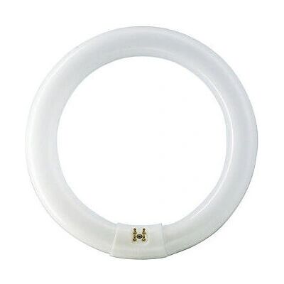 Philips G10q 22W - Ampoule fluorescente - Blanc neutre Philips G10q 22W - Ampoule fluorescente - Blanc neutre