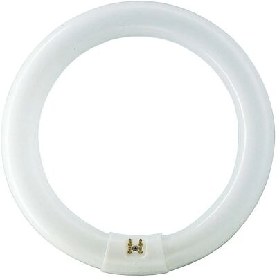 Ampoule fluorescente circulaire Philips Master TL-E - 32W, Lumière du jour, G10q - Publicité Ampoule fluorescente circulaire Philips Master TL-E - 32W, Lumière du jour, G10q - Publicité