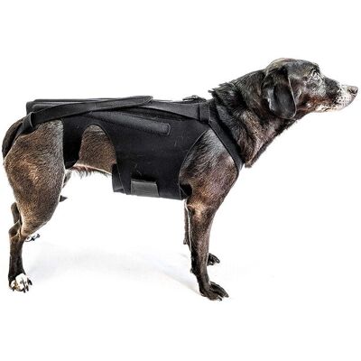 LINGHHANG - Faja lumbar - Size M - for small dogs - Back brace LINGHHANG - Faja lumbar - Size M - for small dogs - Back brace